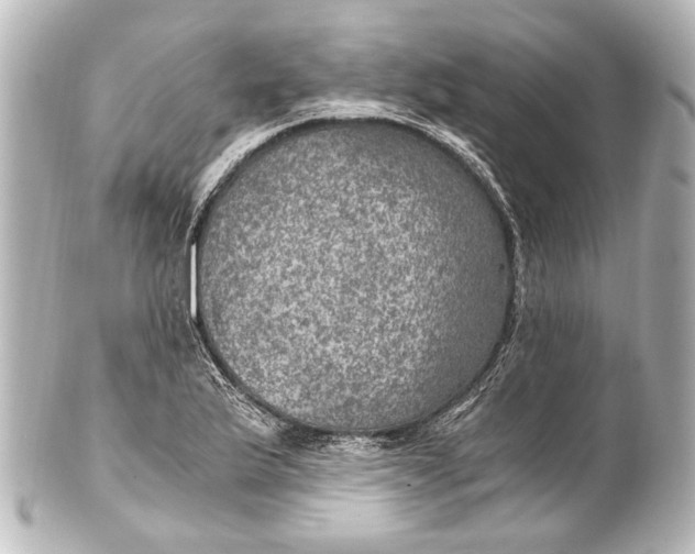 X0000101441175200807281016