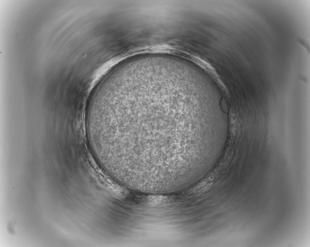 X0000101441176200807281016