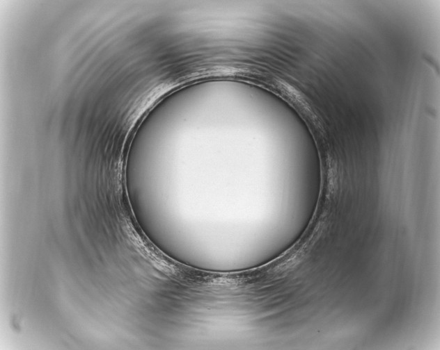 X0000101441178200807281016