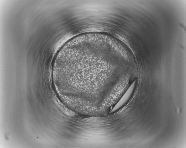 X0000101441179200807281016