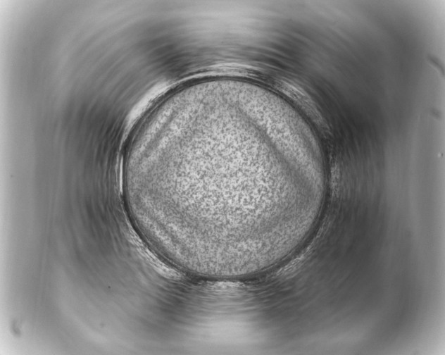 X0000101441180200807281016