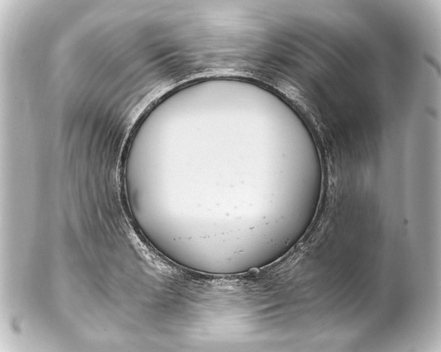 X0000101441181200807281016