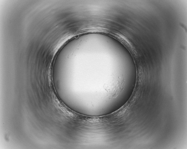 X0000101441182200807281016