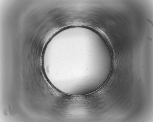 X0000101441183200807281016