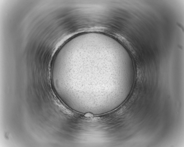 X0000101441184200807281016