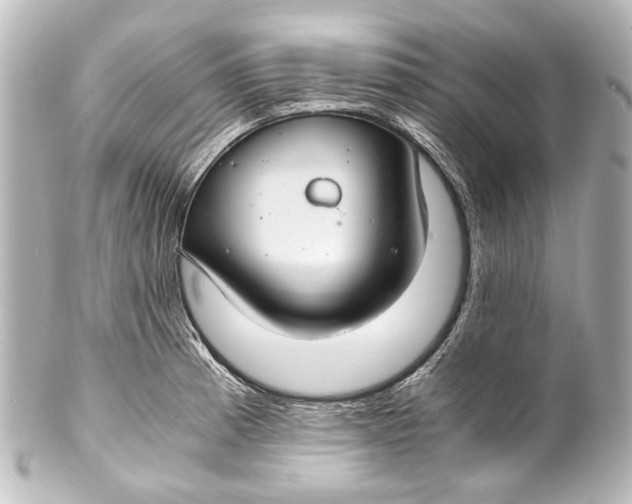 X0000101441185200807281016