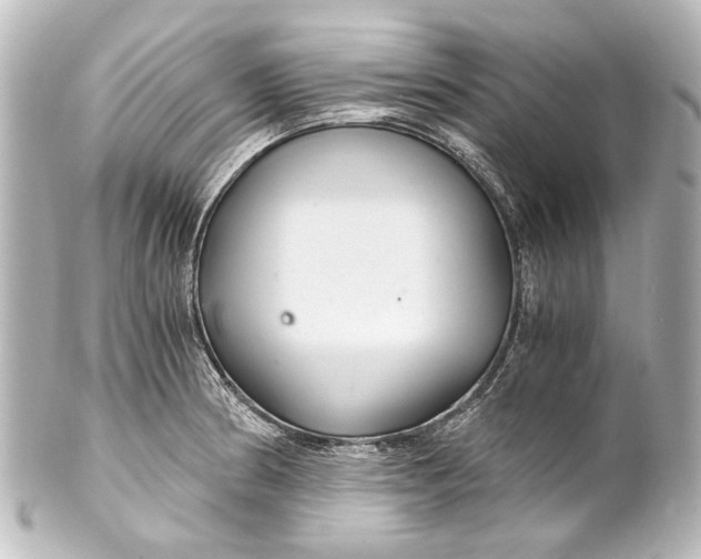 X0000101441186200807281016