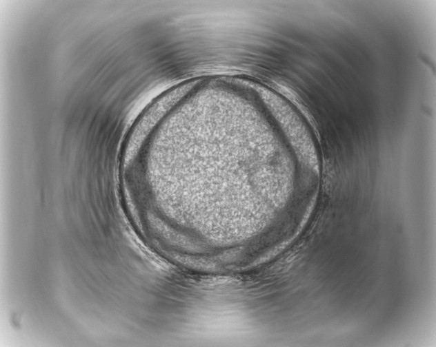 X0000101441187200807281016