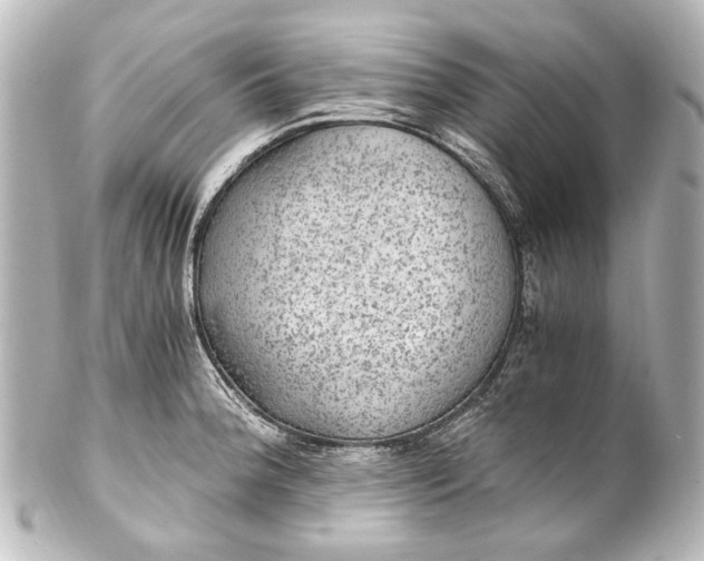 X0000101441188200807281016