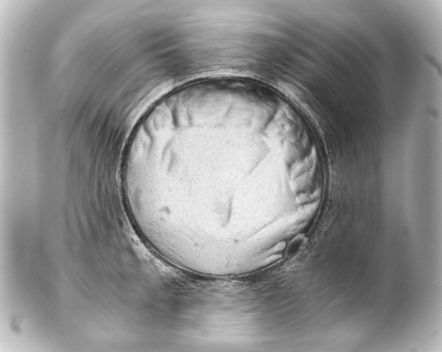 X0000101441189200807281016