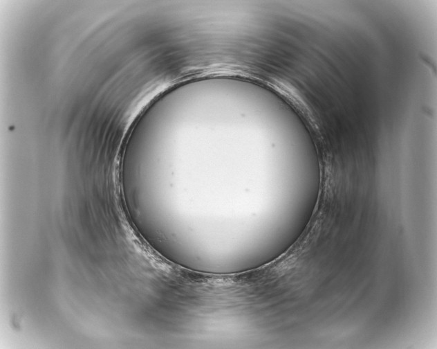 X0000101441190200807281016