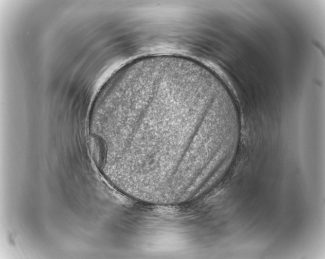 X0000101441191200807281016