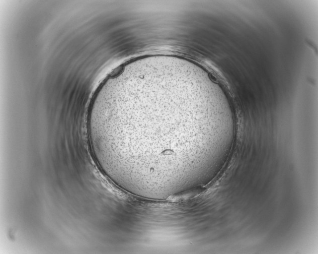 X0000101441192200807281016