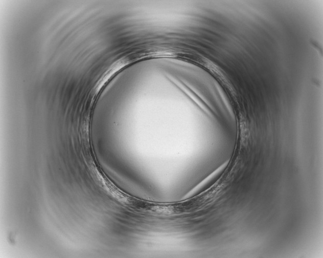 X0000101441194200807281016