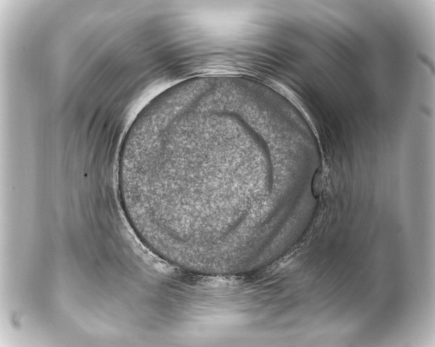 X0000101441195200807281016