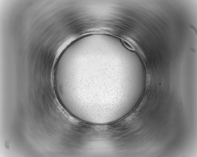 X0000101441196200807281016