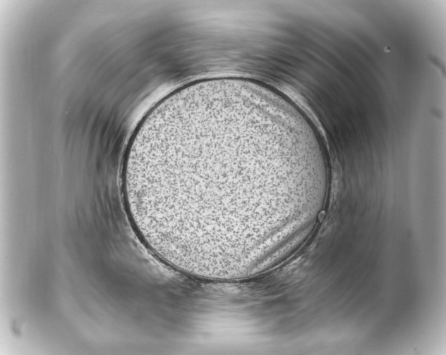 X0000101441197200807281015