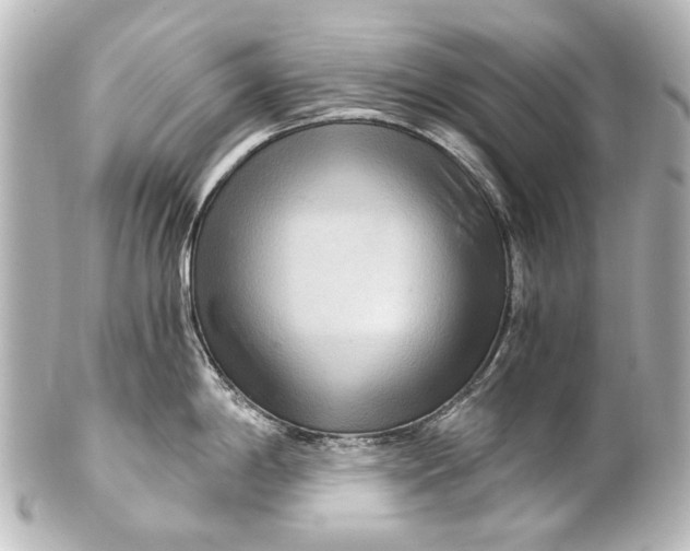 X0000101441198200807281015