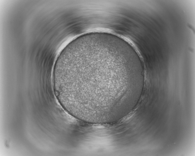 X0000101441199200807281015