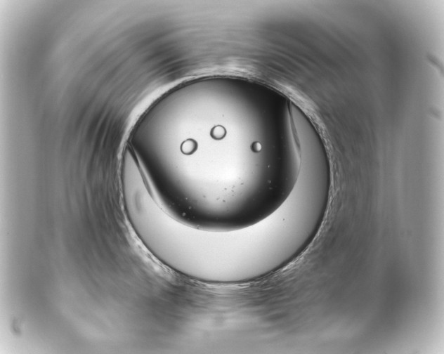 X0000101441200200807281015