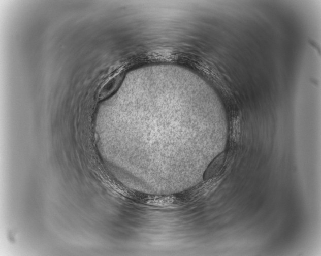 X0000101441201200807281015