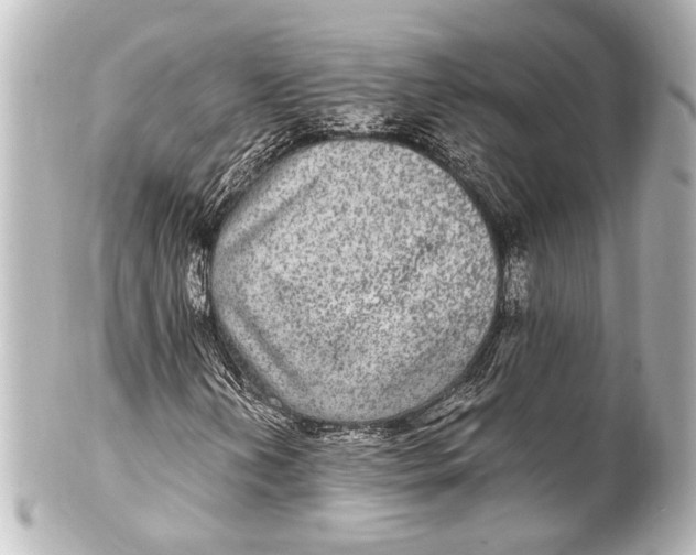 X0000101441202200807281015