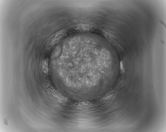 X0000101441203200807281015