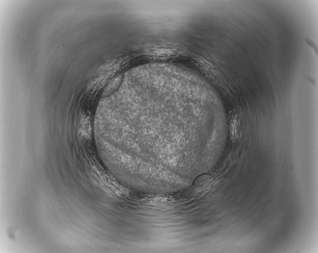 X0000101441204200807281015