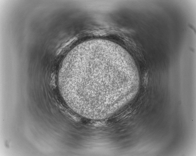 X0000101441205200807281015