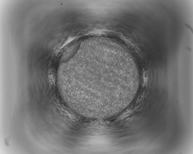 X0000101441206200807281015