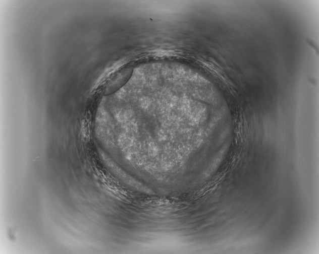 X0000101441207200807281015