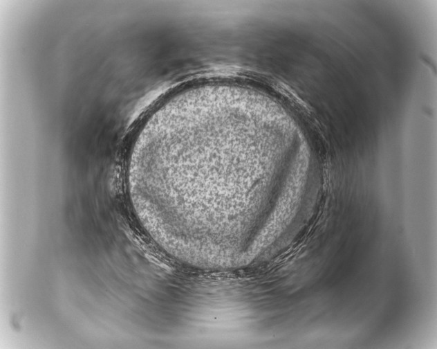 X0000101441208200807281015