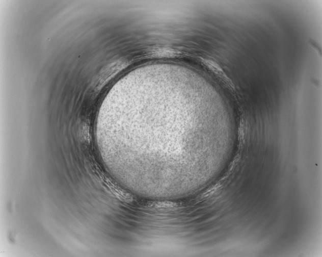 X0000101441209200807281015