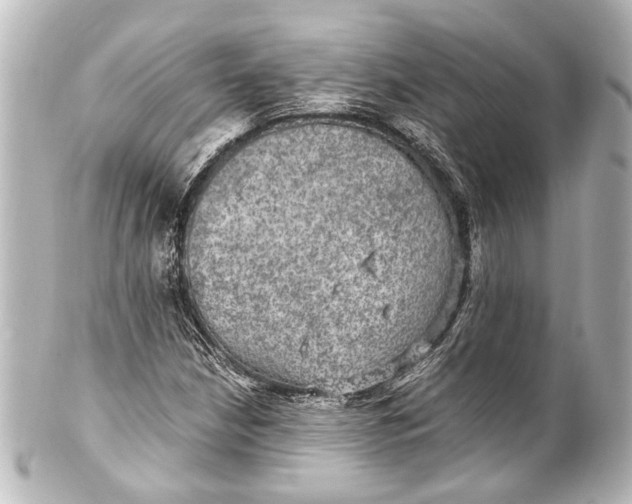 X0000101441210200807281015