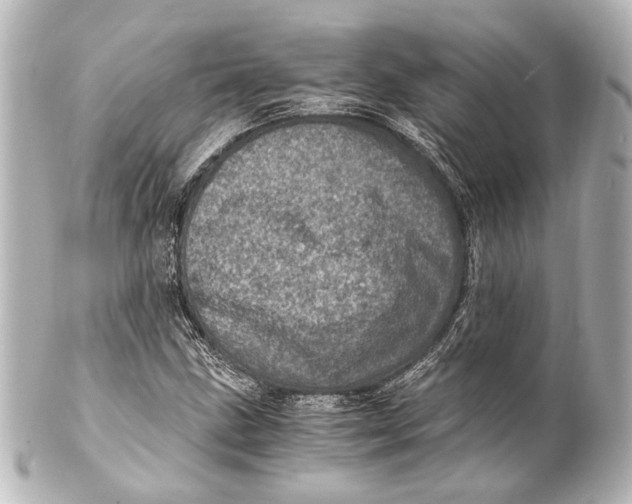 X0000101441211200807281015