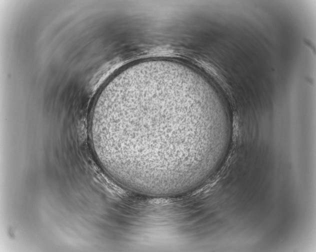 X0000101441212200807281015