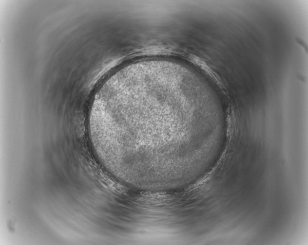 X0000101441213200807281015