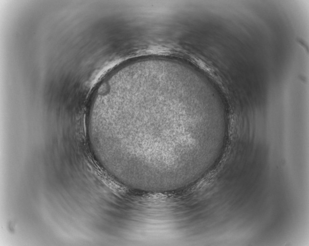 X0000101441214200807281015