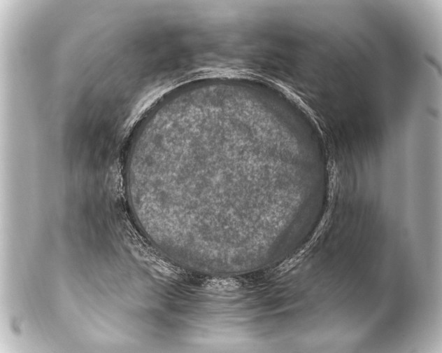 X0000101441215200807281015