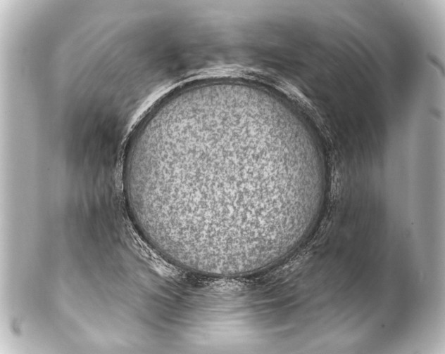 X0000101441216200807281015