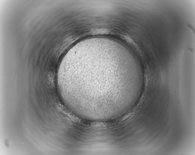 X0000101441217200807281015