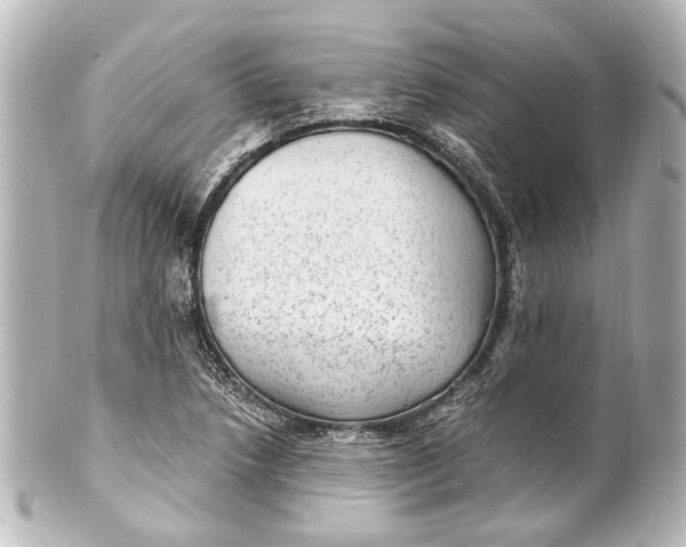 X0000101441218200807281015