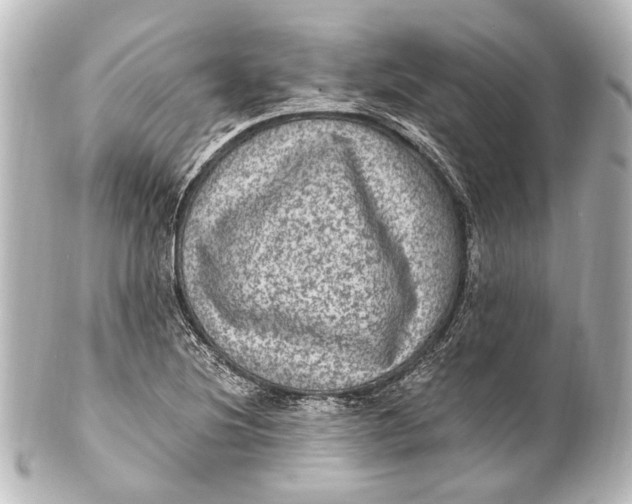 X0000101441220200807281015