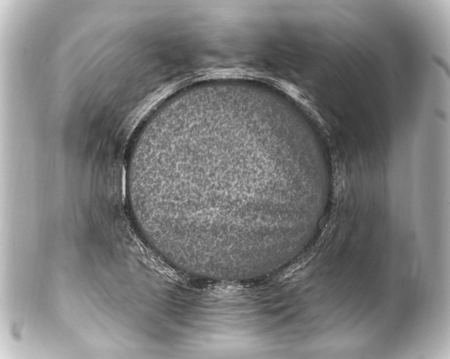 X0000101441221200807281015