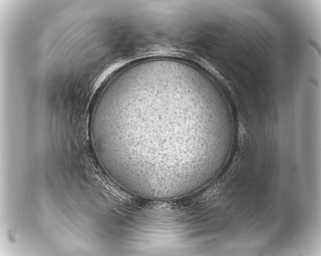 X0000101441222200807281015