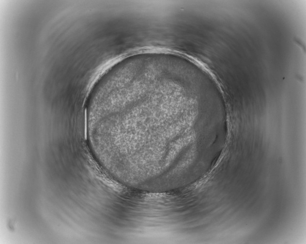 X0000101441223200807281015