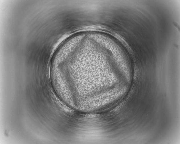 X0000101441224200807281015