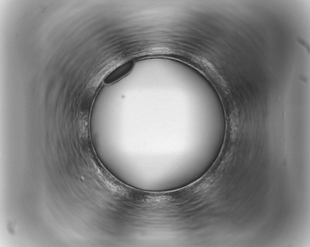 X0000101441225200807281015