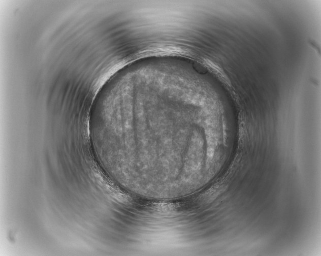 X0000101441226200807281015