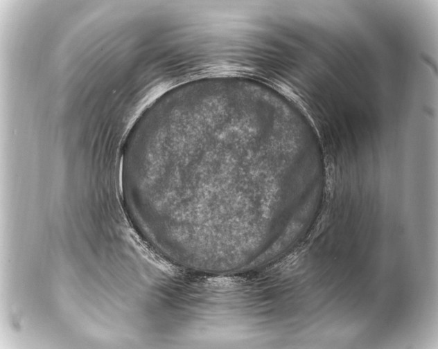 X0000101441227200807281015